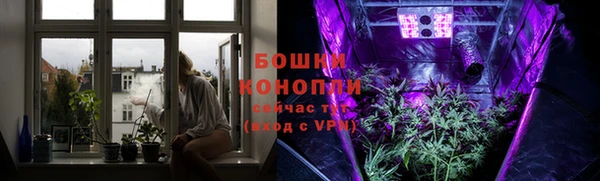 гидра Заводоуковск
