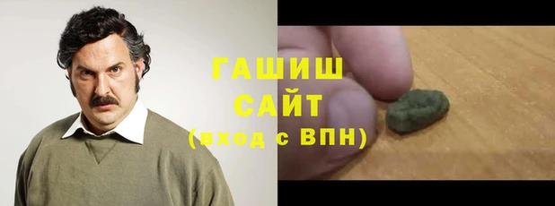 гидра Заводоуковск