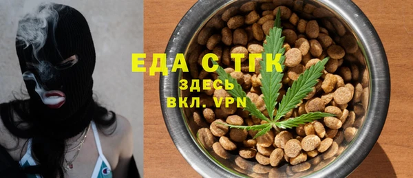 гидра Заводоуковск