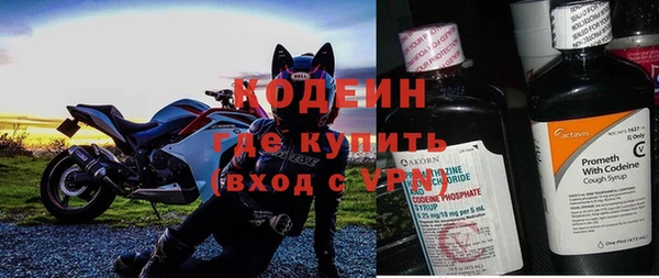 гидра Заводоуковск