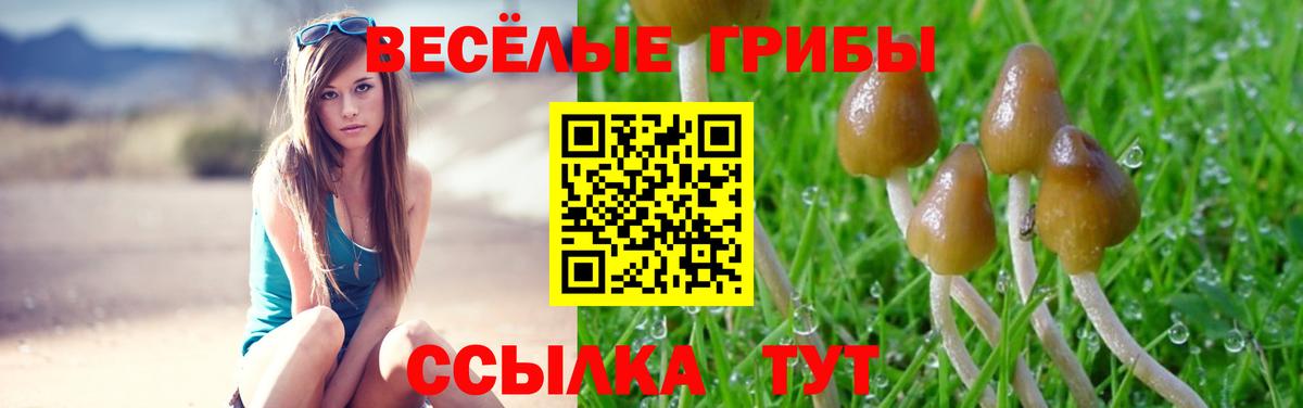 Галлюциногенные грибы MAGIC MUSHROOMS  Вход с VPN  Феодосия  Псилоцибиновые грибы мухоморы 